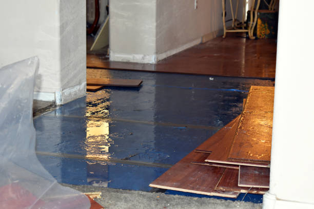 Professional Basement Flood Cleanup technician working in Woodworth, ND